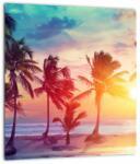 Mivali Tablou - Apus de soare tropical, dintr-o bucată 30x30 cm (V022813V3030)