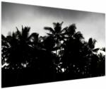 Mivali Tablou alb negru - palmieri, dintr-o bucată 150x100 cm (V021530V150100)