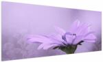 Mivali Tablou - Flori mov, dintr-o bucată 250x125 cm (V023935V250125)