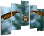 Mivali Tablou -Bufnita în zbor, din cinci bucăți 125x90 cm (V022020V12590)