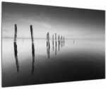 Mivali Tablou cu nivelul de lac alb negru, dintr-o bucată 90x60 cm (V022032V9060)