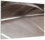 Mivali Tablou pe sticlă cu fibre abstacte, dintr-o bucată 70x50 cm pe sticlă (V022256V7050GD)