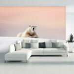 Mivali Fototapet - Urs polar, vlies, 441x306 cm (T100959TQ9)