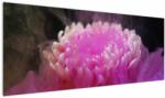 Mivali Tablou cu floare în fum roz, dintr-o bucată 145x58 cm (V020433V14558)