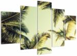 Mivali Tablou - Palmieri de cocos, din cinci bucăți 150x105 cm (V023328V150105)