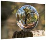Mivali Tablou pe sticlă - Reflecție intr-o sferă transparentă, dintr-o bucată 70x50 cm pe sticlă (V022641V7050GD)