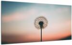 Mivali Tablou pe sticlă - Te țin, păpădie, dintr-o bucată 100x50 cm pe sticlă (V021646V10050GD)