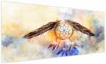 Mivali Tablou - Captator de vise cu pene, dintr-o bucată 250x125 cm (V023028V250125)