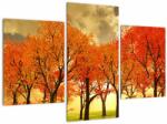 Mivali Tablou - Toamna, din trei bucăți 90x60 cm (V022510V90603PCS)