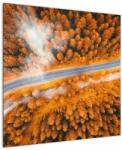 Mivali Tablou - Strada montană, dintr-o bucată 70x70 cm (V022166V7070)