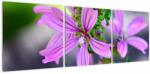 Mivali Tablou cu floarea detailat, din trei bucăți 120x40 cm (V020300V12040)