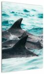 Mivali Tablou - Delfini în ocean, dintr-o bucată 50x70 cm (V021515V5070)