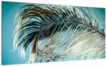 Mivali Tablou pe sticlă cu pană, dintr-o bucată 100x50 cm pe sticlă (V020590V10050GD)