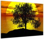 Mivali Tablou - Silueta copacilor, dintr-o bucată 70x50 cm (V022604V7050)