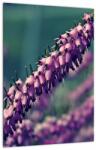 Mivali Tablou cu lavanda, dintr-o bucată 30x40 cm (V020539V3040)