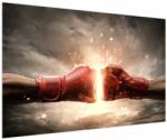 Mivali Tablou - Boxing, dintr-o bucată 120x80 cm (V023957V12080)
