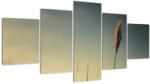 Mivali Tablou - Iarba, din cinci bucăți 150x80 cm (V022549V150805PCS)