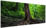 Mivali Tablou - Copac bătrîn cu rădăcini, dintr-o bucată 250x125 cm (V022463V250125)