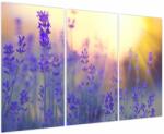 Mivali Tablou - Levănțică, din trei bucăți 120x80 cm (V023928V120803PCS)