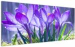 Mivali Tablou cuflori în ploaie, dintr-o bucată 120x50 cm (V020707V12050)