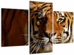 Mivali Tablou cu tigrul, din trei bucăți 90x60 cm (V021272V90603PCS)