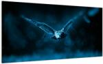 Mivali Tablou pe sticlă cu bufnița zburând, dintr-o bucată 100x50 cm pe sticlă (V020478V10050GD)