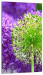 Mivali Tablou cu floare, dintr-o bucată 20x30 cm (V020625V2030)