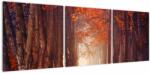 Mivali Tablou - Pădurea de toamnă, din trei bucăți 120x40 cm (V021985V12040)