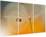 Mivali Tablou - Flori macro, din trei bucăți 120x80 cm (V023889V120803PCS)