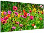 Mivali Tablou cu flori de luncă, dintr-o bucată 120x70 cm (V020352V12070)