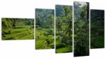 Mivali Tablou cu terasele cu orez Tegalalang, Bali, din cinci bucăți 110x60 cm (V021569V11060)