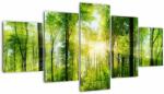 Mivali Tablou - Răsărit în pădure, din cinci bucăți 150x80 cm (V022345V150805PCS)