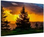 Mivali Tablou - coniferi, dintr-o bucată 90x60 cm (V020674V9060)