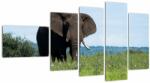 Mivali Tablou cu elefant, din cinci bucăți 110x60 cm (V021182V11060)