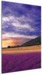 Mivali Tablou cu lunca cu lavandă, dintr-o bucată 60x90 cm (V022156V6090)