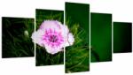 Mivali Tablou cu floare roz (cu ceas), din cinci bucăți 150x80 cm cu ceas (V020990V15080C)