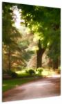 Mivali Tablou cu parc, dintr-o bucată 50x70 cm (V020213V5070)