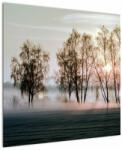 Mivali Tablou - Dimineața mohorâtă, dintr-o bucată 70x70 cm (V022103V7070)