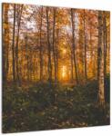Mivali Tablou - Pădurea toamna, dintr-o bucată 50x50 cm (V022643V5050)