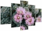 Mivali Tablou floare de cactus, din cinci bucăți 150x105 cm (V021594V150105)