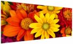 Mivali Tablou cu floare, dintr-o bucată 250x125 cm (V022228V250125)