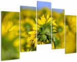 Mivali Tablou cu floarea soarelui, din cinci bucăți 125x90 cm (V020247V12590)