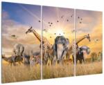 Mivali Tablou - Animae din Africa, din trei bucăți 120x80 cm (V022143V120803PCS)