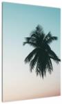 Mivali Tablou - Palmier la Bali, dintr-o bucată 50x70 cm (V021567V5070)