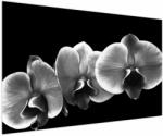 Mivali Tablou floare de orhidee, dintr-o bucată 150x100 cm (V022015V150100)