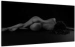 Mivali Tablou pe sticlă - Femeia întinsă nud, dintr-o bucată 100x50 cm pe sticlă (V022896V10050GD)