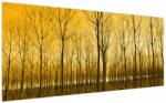 Mivali Tablou - Palntație cu pomi, dintr-o bucată 200x100 cm (V021313V200100)