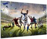 Mivali Tablou - Fotbal, dintr-o bucată 90x60 cm (V023182V9060)