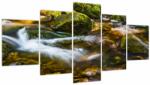 Mivali Tablou cu părâu (cu ceas), din cinci bucăți 150x80 cm cu ceas (V020338V15080C)