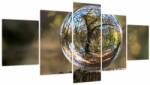 Mivali Tablou - Reflecție intr-o sferă transparentă (cu ceas), din cinci bucăți 150x80 cm cu ceas (V022641V15080C)